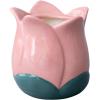 ban.do Cute Flower Vase for Coffee Table Decor/Centerpieces/Dining Table, Small Unique Ceramic Vase, Tulip(Pink)