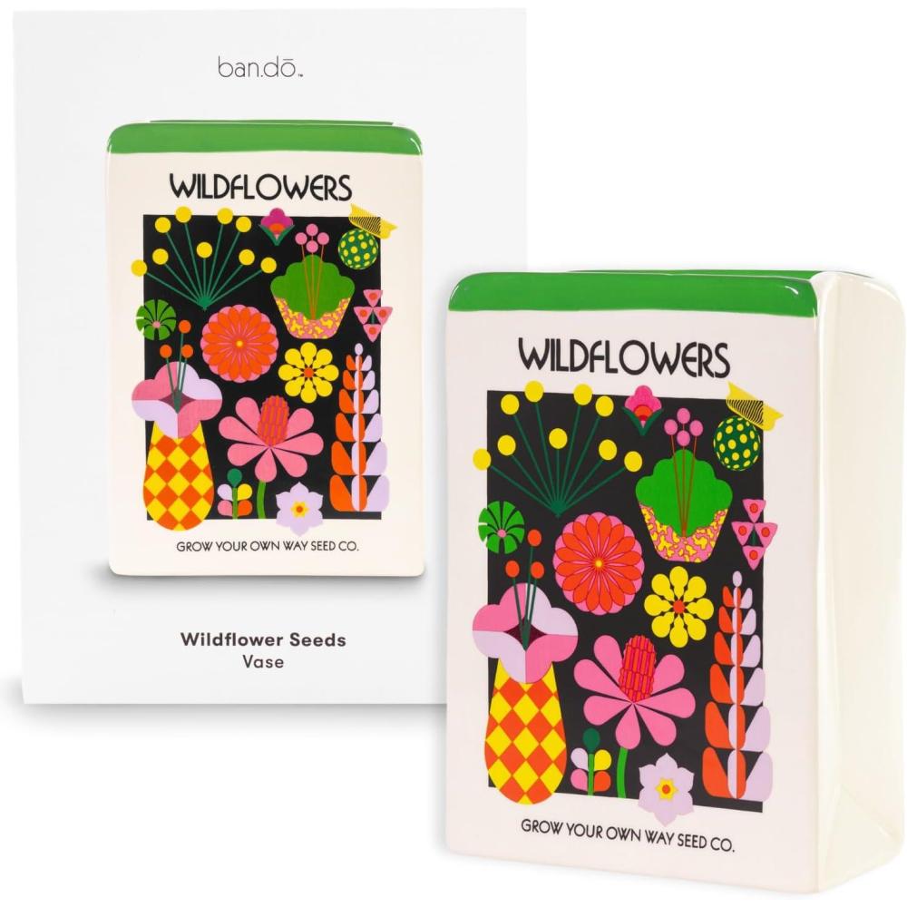 imagebando Unique Flower Vase Decorative Vase Shaped Like Seed Packet Colorful Ceramic Vase Shelf Decor for Home or Office Wildflower Seeds