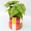 ban.do Novelty Ceramic Planter with Drainage Hole, Decorative Planter, Ceramic Planter for Home Decor, Cute Decor, Unique Planter, Colorblock