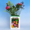 ban.do Unique Flower Vase, Decorative Vase Shaped Like Seed Packet, Colorful Ceramic Vase, Shelf Decor for Home or Office, Wildflower Seeds