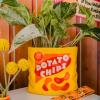 ban.do Vintage Inspired Potato Chips Bag Vase, Decorative Ceramic Vase, Large Flower Vase, Unique Potato Chip Decor for Home/Kitchen/Office