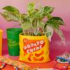 ban.do Vintage Inspired Potato Chips Bag Vase, Decorative Ceramic Vase, Large Flower Vase, Unique Potato Chip Decor for Home/Kitchen/Office